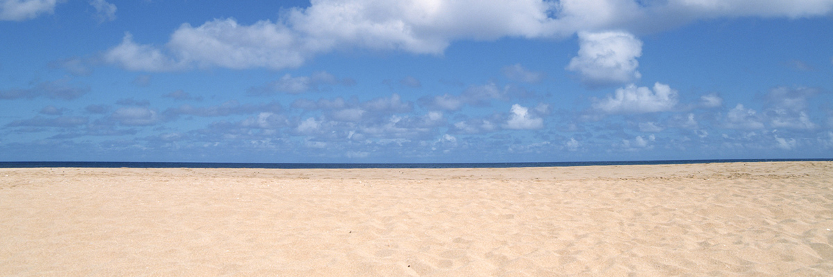 トナー買取を行う評判の良いおすすめ業者5選！おすすめのトナー買取業者を比較